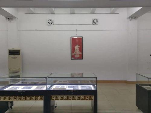 泰州博物馆爆料事件视频,揭秘背后真相与争议  第3张