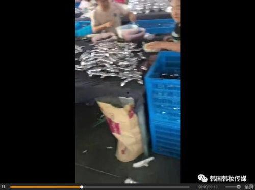 假鸡血爆料制作过程视频,视频带你一探究竟