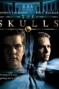 头骨俱乐部在线观看,头骨俱乐部在线揭秘之旅